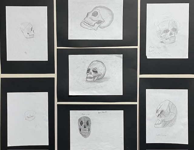 QRT 1 Skull Drawing