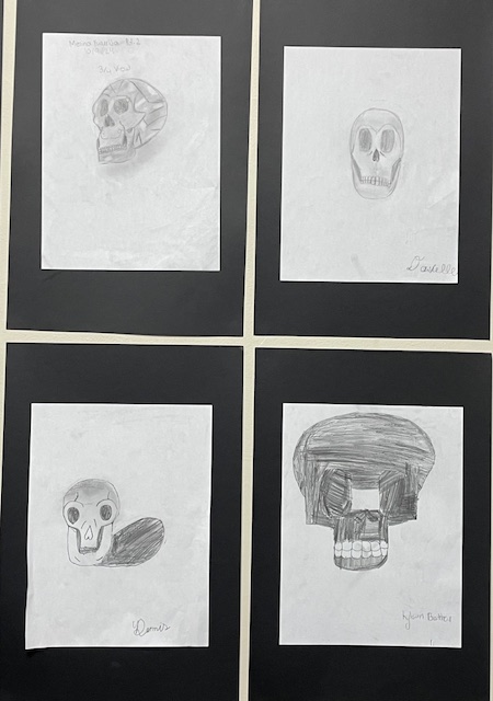 QRT 1 Skull Drawing